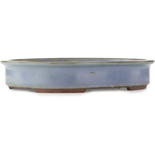 Oval blue bonsai pot by Yamaaki - 480 x 370 x 85 mm