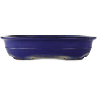 Reihou (Bonsai Matsushita Hiroyuki or Mr.MATSUSHITA Reiji    Master) 380 mm oval blue bonsai pot by Reiho, Tokoname, Japan