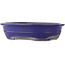 Oval blue bonsai pot by Reiho - 380 x 290 x 90 mm