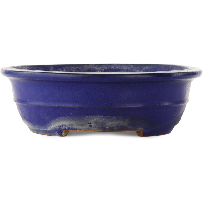 Ovaler blauer Bonsai-Topf von Reiho - 380 x 290 x 90 mm