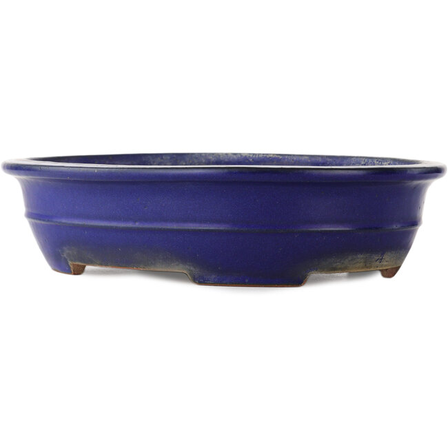 Oval blue bonsai pot by Reiho - 380 x 290 x 90 mm