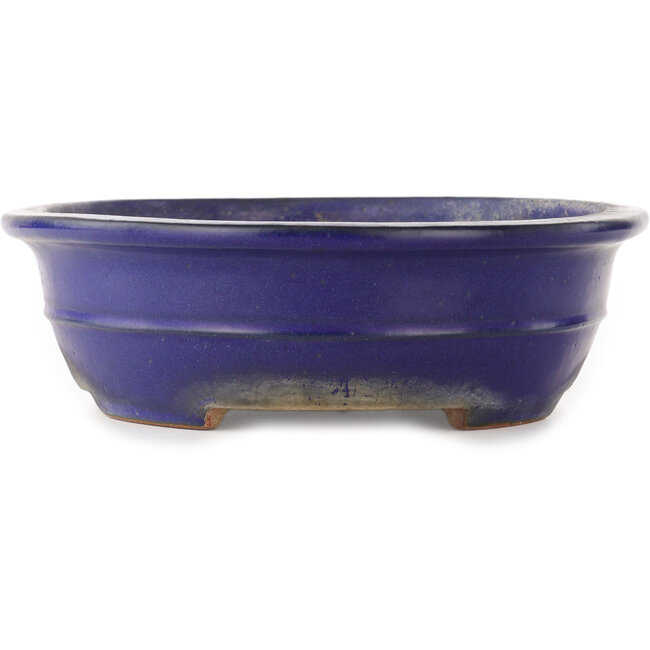 Ovaler blauer Bonsai-Topf von Reiho - 380 x 290 x 90 mm
