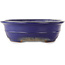 Oval blue bonsai pot by Reiho - 380 x 290 x 90 mm