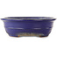 Pot à bonsaï ovale bleu de Reiho - 380 x 290 x 90 mm