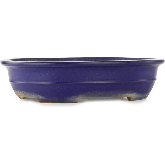 Maceta ovalada azul para bonsái de Reiho - 380 x 290 x 90 mm