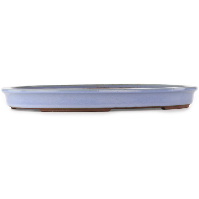 Oval blue bonsai pot by Yamaaki - 480 x 355 x 55 mm