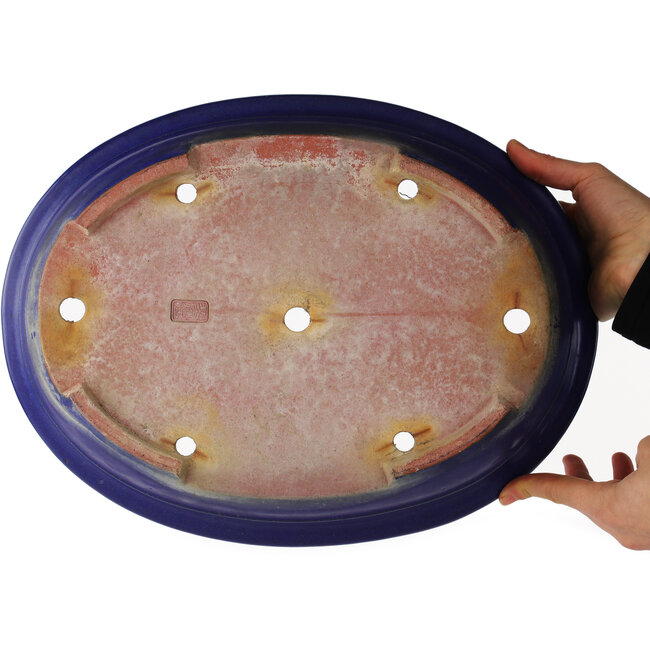 Oval blue bonsai pot by Reiho - 380 x 290 x 90 mm