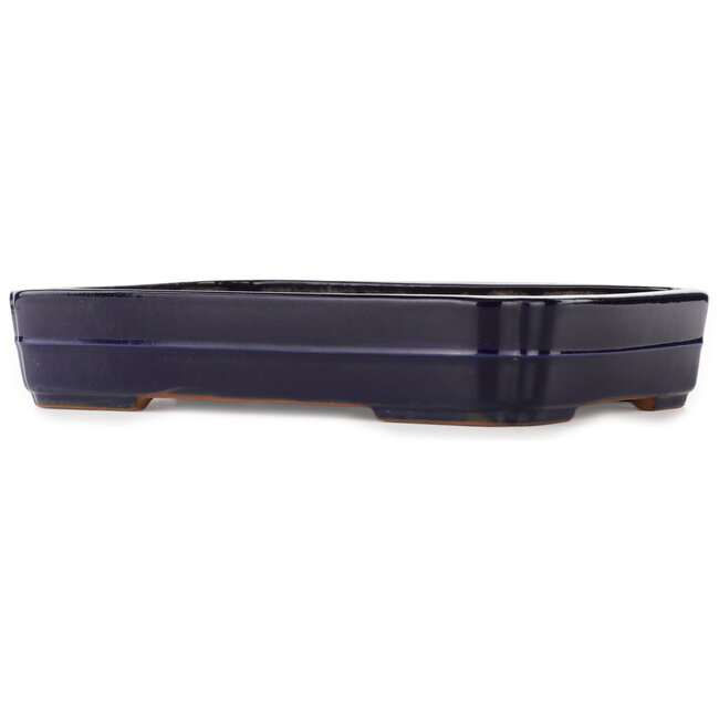 Rechteckiger blauer Bonsai-Topf von Yamafusa - 380 x 270 x 70 mm