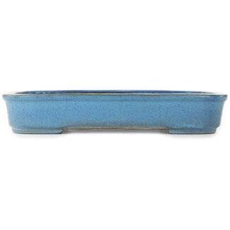 Koyo - Koichirou Aiba  Maceta rectangular azul para bonsái de 450 mm de Koyou, Tokoname, Japón