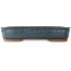 Maceta rectangular azul para bonsái - 470 x 365 x 85 mm