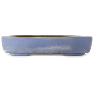  Hattori Tomoyuki Maceta para bonsái azul ovalada de 370 mm de Hattori, Tokoname, Japón
