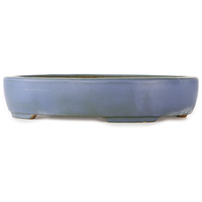 Maceta ovalada azul para bonsái de Hattori - 370 x 280 x 80 mm