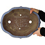 Maceta para bonsái con forma de loto azul de Yamaaki - 360 x 285 x 85 mm