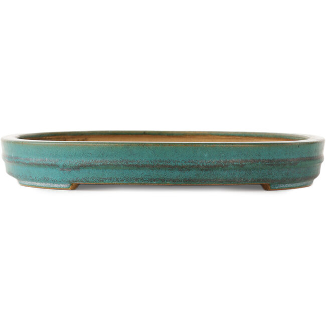 Pot à bonsaï ovale turquoise de Reiho - 520 x 370 x 60 mm