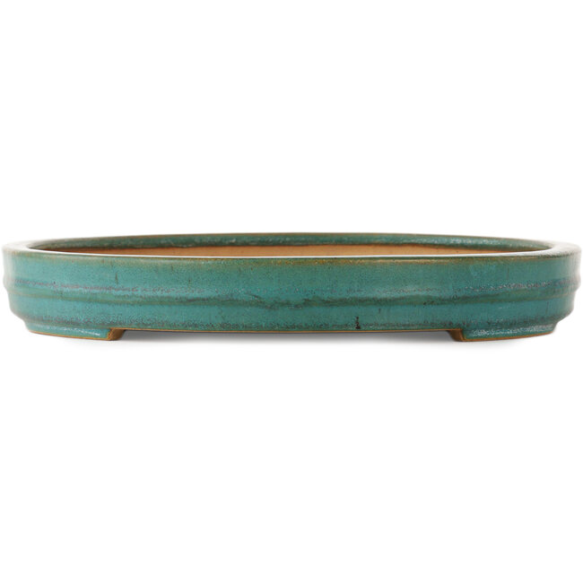 Pot à bonsaï ovale turquoise de Reiho - 520 x 370 x 60 mm