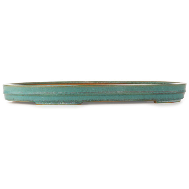 Pot à bonsaï ovale turquoise de Reiho - 520 x 370 x 60 mm