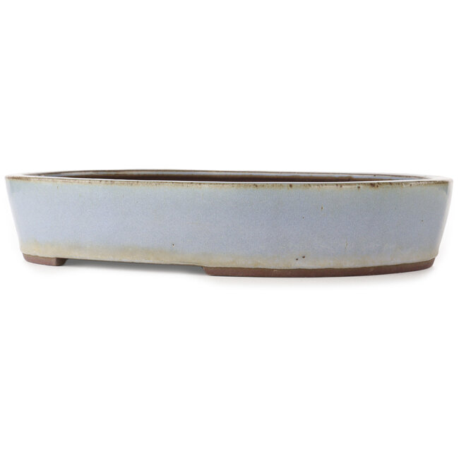 Vaso bonsai ovale blu di Yamaaki - 425 x 330 x 80 mm
