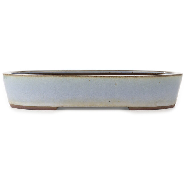 Vaso bonsai ovale blu di Yamaaki - 425 x 330 x 80 mm