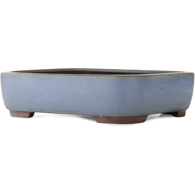 Rechthoekige blauwe bonsai pot van Yamaaki - 380 x 305 x 100 mm