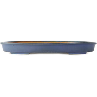  Hattori Tomoyuki 565 mm ovale blaue Bonsaischale von Hattori, Tokoname, Japan