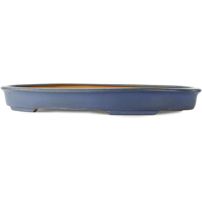 Pot à bonsaï ovale bleu par Hattori - 565 x 370 x 60 mm