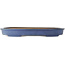 Vaso bonsai ovale blu di Hattori - 565 x 370 x 60 mm