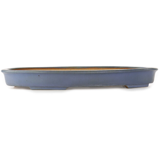Pot à bonsaï ovale bleu par Hattori - 565 x 370 x 60 mm