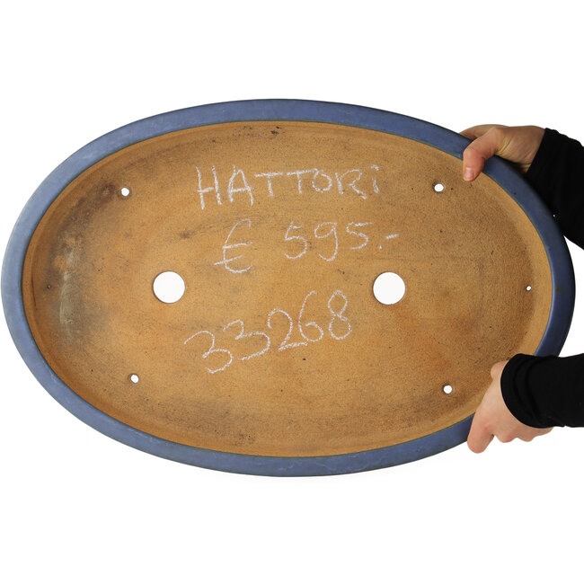 Pot à bonsaï ovale bleu par Hattori - 565 x 370 x 60 mm