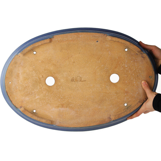 Pot à bonsaï ovale bleu par Hattori - 565 x 370 x 60 mm