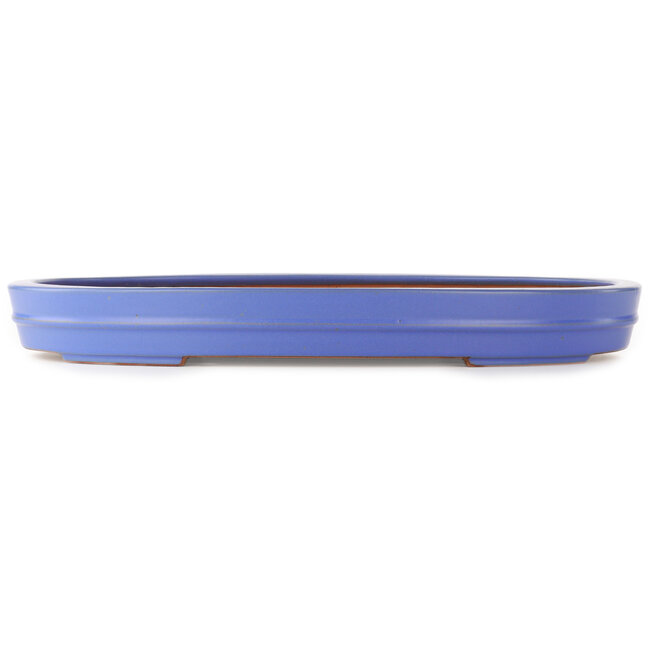 Pot à bonsaï ovale bleu de Reiho - 525 x 370 x 60 mm