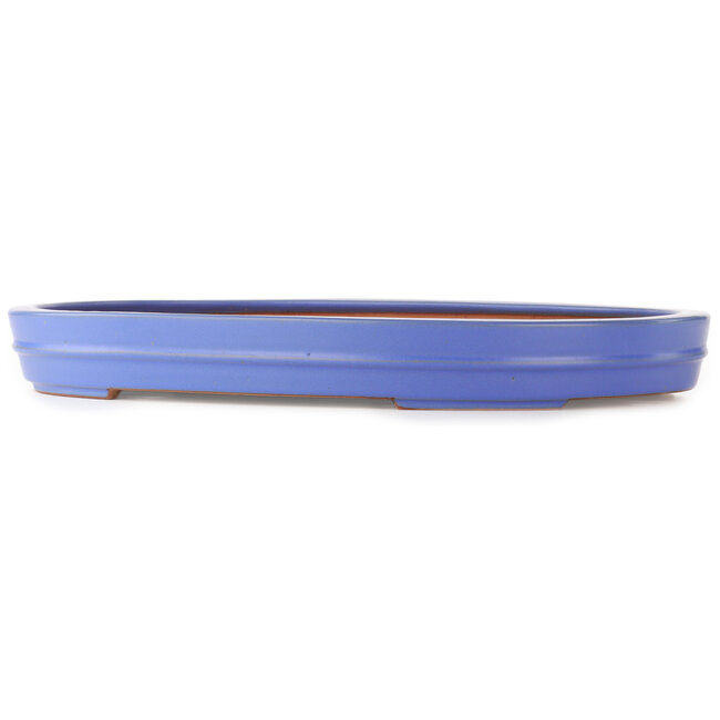 Oval blue bonsai pot by Reiho - 525 x 370 x 60 mm