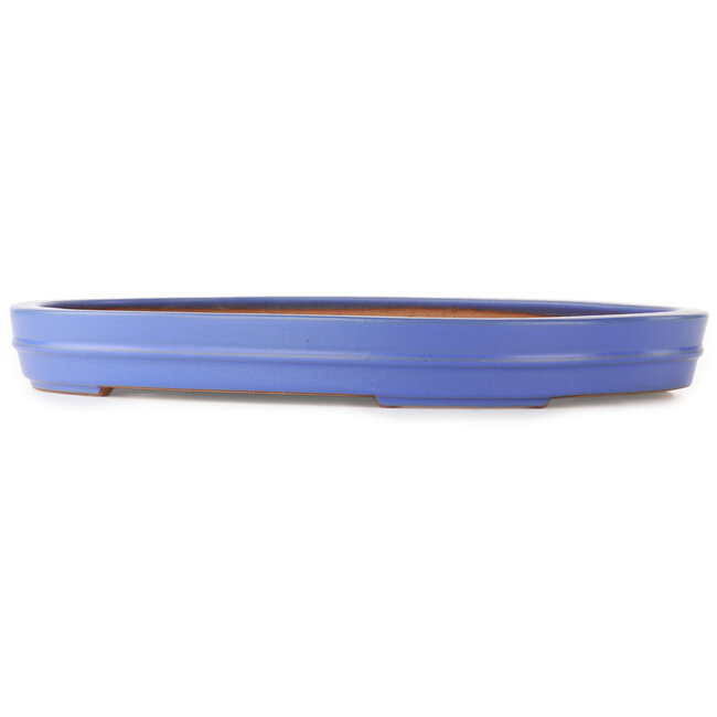 Oval blue bonsai pot by Reiho - 525 x 370 x 60 mm