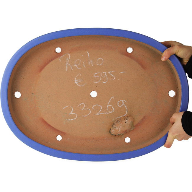 Oval blue bonsai pot by Reiho - 525 x 370 x 60 mm