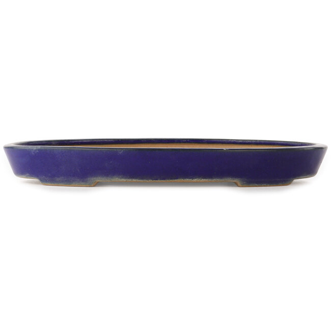 Oval blue bonsai pot by Reiho - 375 x 250 x 45 mm