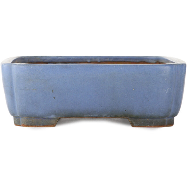 Maceta rectangular azul para bonsái de Yamafusa - 370 x 285 x 95 mm