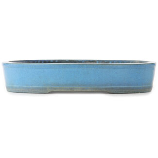 Koyo - Koichirou Aiba  370 mm oval blue bonsai pot by Koyou, Tokoname, Japan