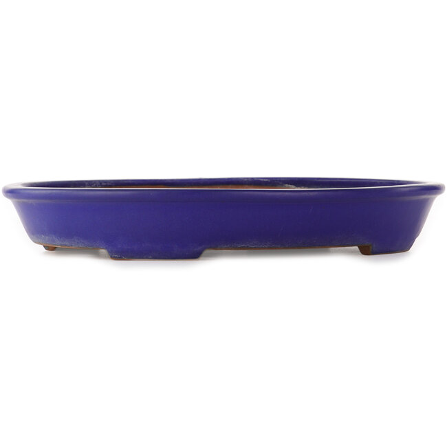 Pot à bonsaï ovale bleu de Yamafusa - 410 x 315 x 60 mm