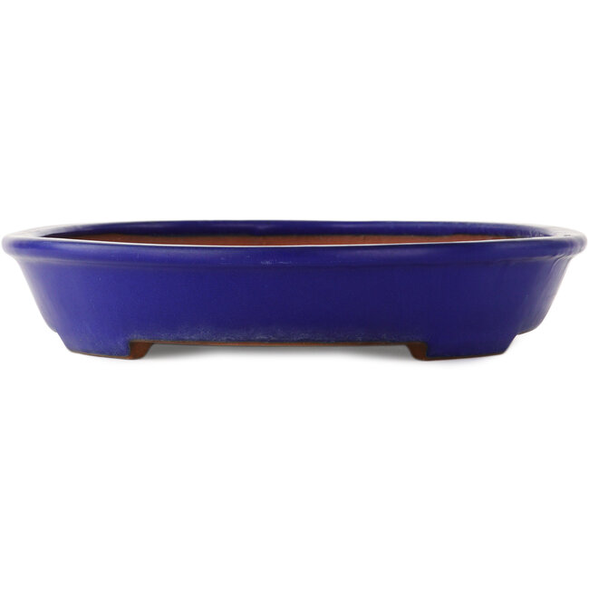Oval blue bonsai pot by Yamafusa - 410 x 315 x 60 mm