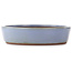 Ovale blauwe bonsai pot van Yamaaki - 465 x 370 x 80 mm