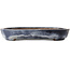 Pot à bonsaï ovale bleu de Reiho - 490 x 315 x 50 mm
