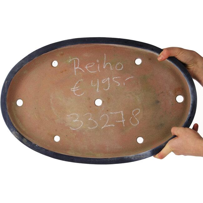 Maceta ovalada azul para bonsái de Reiho - 490 x 315 x 50 mm