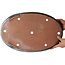Pot à bonsaï ovale bleu de Reiho - 490 x 315 x 50 mm