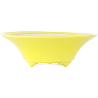 Seifu Pot à bonsaï rond jaune de 145 mm par Seifu, Japon