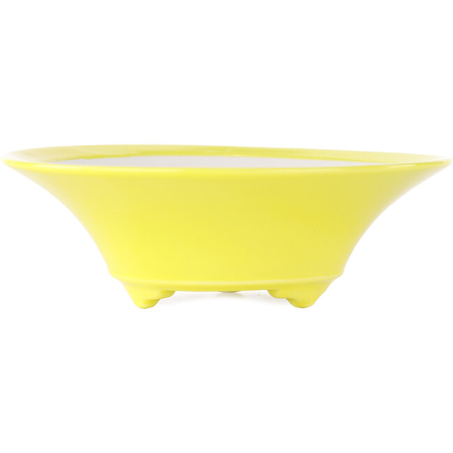 Pot à bonsaï rond jaune de Seifu - 145 x 145 x 45 mm