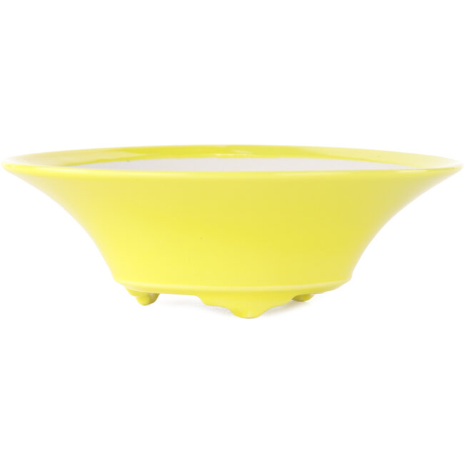 Vaso bonsai rotondo giallo di Seifu - 145 x 145 x 45 mm