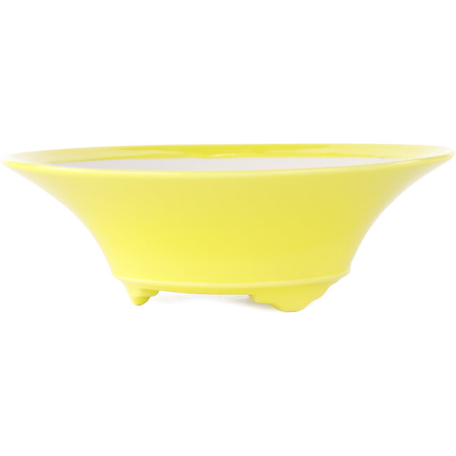 Round yellow bonsai pot by Seifu - 145 x 145 x 45 mm