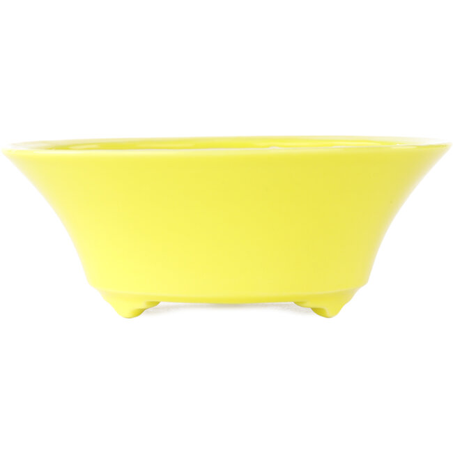 Vaso bonsai rotondo giallo di Seifu - 145 x 145 x 55 mm