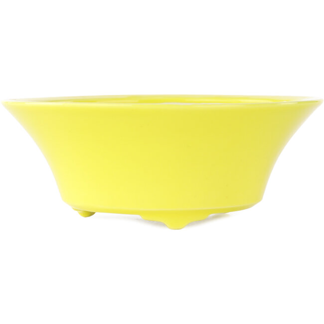 Maceta redonda amarilla para bonsái de Seifu - 145 x 145 x 55 mm