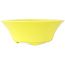 Pot à bonsaï rond jaune de Seifu - 145 x 145 x 55 mm