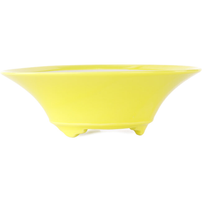 Maceta redonda amarilla para bonsái de Seifu - 145 x 145 x 45 mm